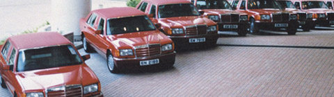 Fleet of early stretched TRASCO limousines based on the Mercedes-Benz S-Class